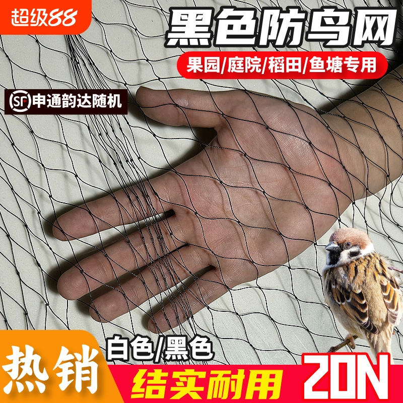 涤纶防护网高强涤纶合股防鸟网果园果树大棚防鸟天网户外鱼塘养殖