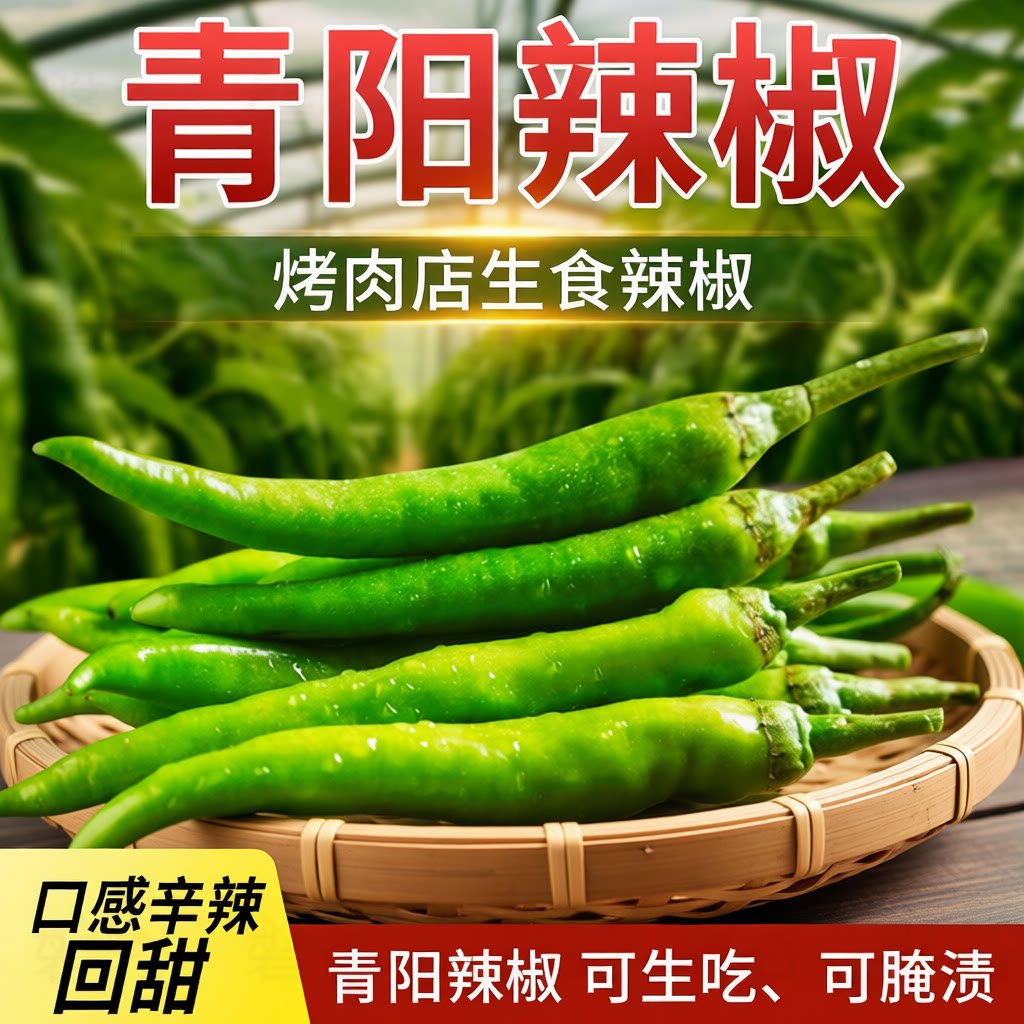 农家现摘青阳辣椒新鲜烤肉店鲜食烤肉蘸酱当季青椒微辣做酱