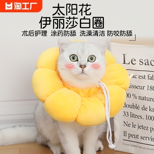 伊丽莎白圈猫绝育项圈防舔除跳蚤猫咪术后脖圈颈圈头套狗宠物用品