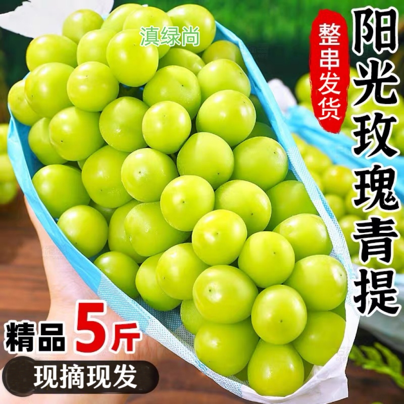 云南现摘阳光玫瑰葡萄新鲜水果当季稀有晴王提子青提现摘现发无籽