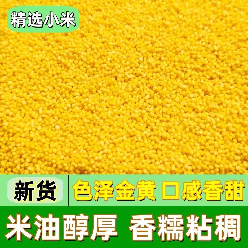 黄小米农家黄金新米特产养胃油糯小米粥五谷杂粮米脂茶苗米油粮食