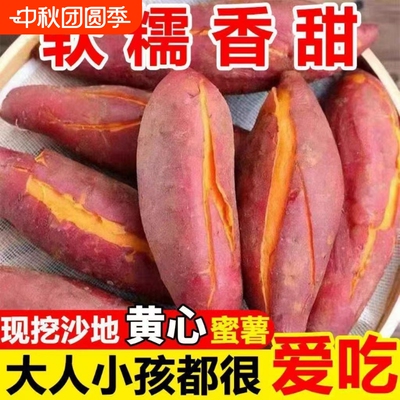 新鲜农家自种红薯沙地黄心蜜薯板栗小番烟薯糖心地瓜红心山芋番薯