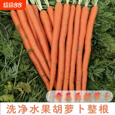 甘肃水洗帝王系手指水果胡萝卜生吃脆甜可蒸煮煲汤宝宝辅食