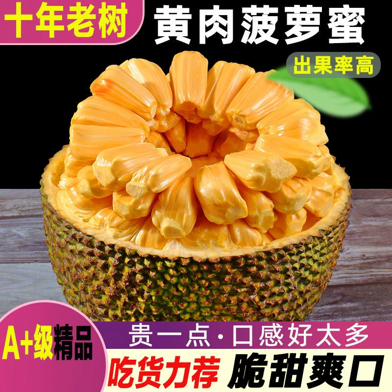 海南三亚黄肉菠萝蜜新鲜水果当季脆甜木波罗蜜一整个香蕉热带大果