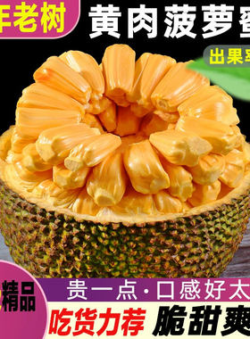 海南三亚黄肉菠萝蜜一整个大果