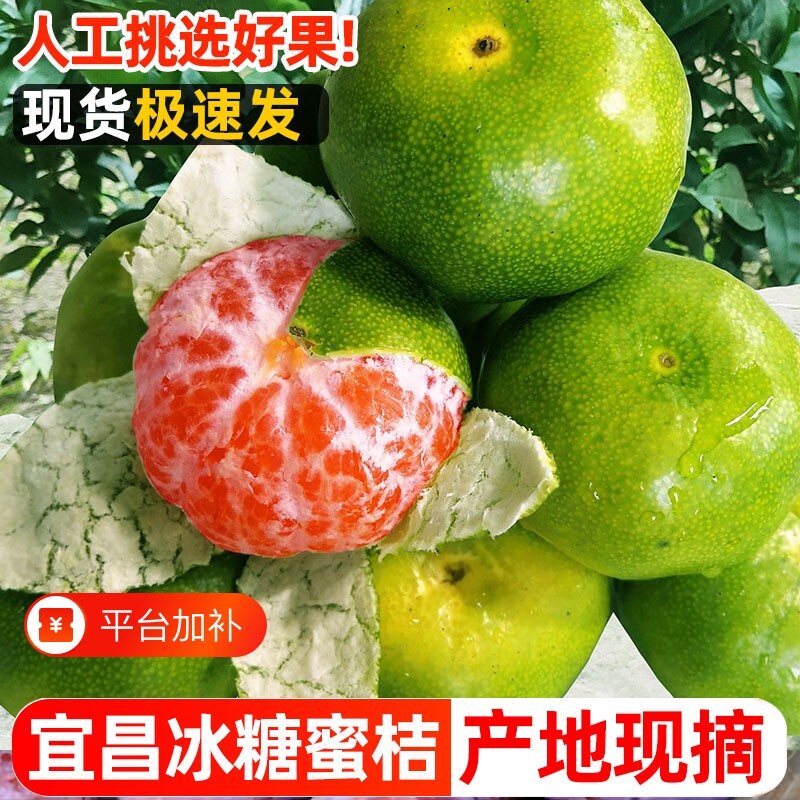 宜昌蜜桔特早熟蜜橘桔子新鲜水果9斤当季5青皮桔无籽孕妇整箱