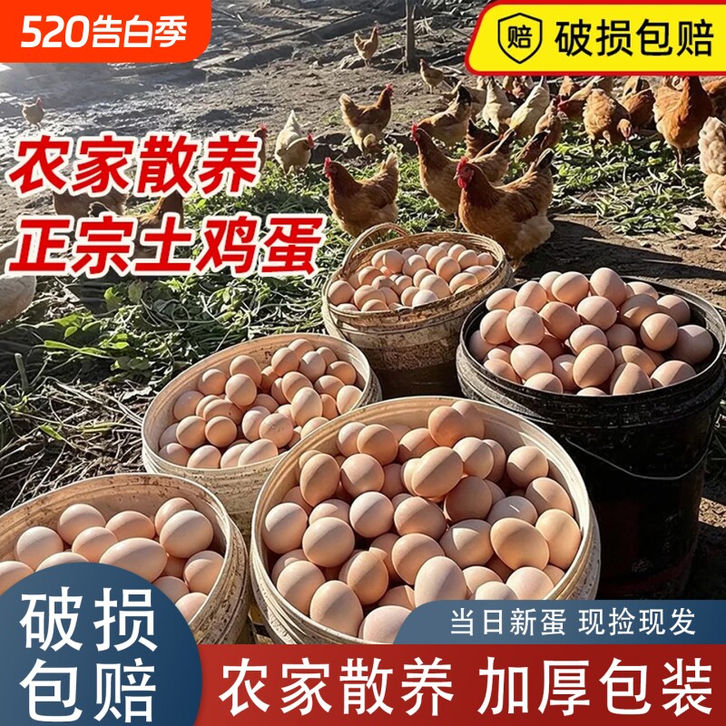 50g农家散养土鸡蛋正宗谷物蛋现捡现发新鲜月子营养早餐宝宝辅食