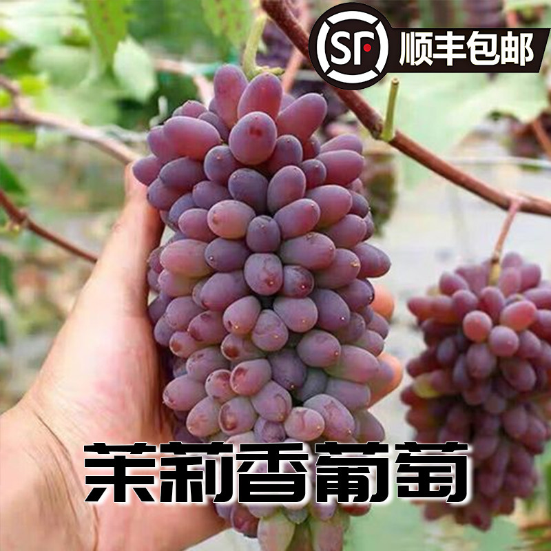 ���������������Ѵ�������������Ѻó���Ȼ�����õ��������˳�� 1�� 5-20MM 26.9Ԫ