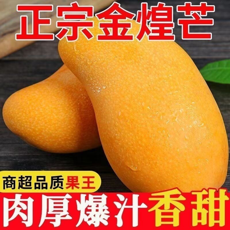 【海南发货】三亚金煌芒果当季新大芒果水果整箱新鲜水果水仙芒果