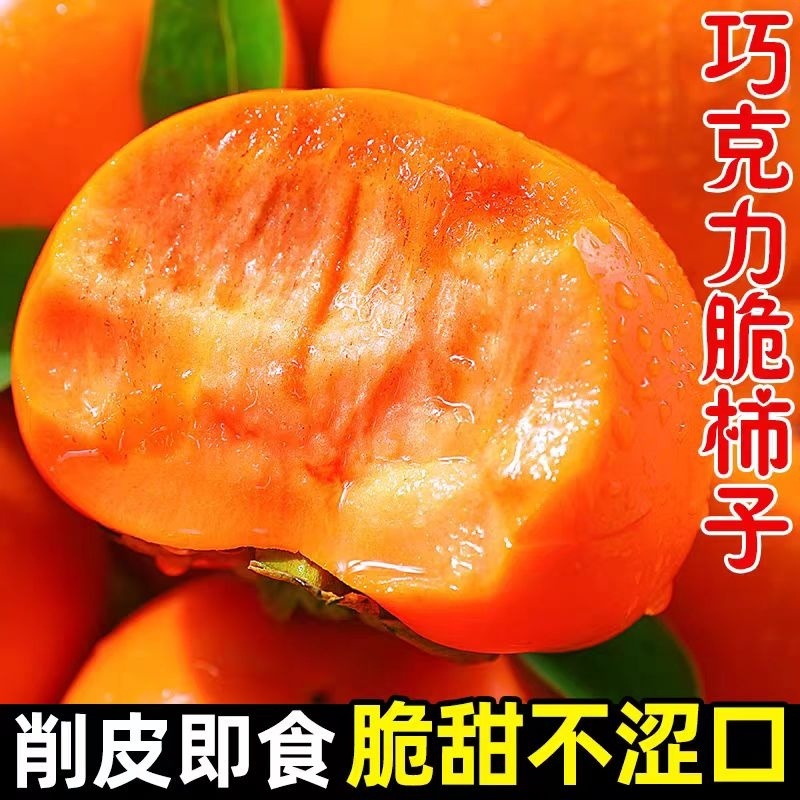 巧克力脆柿子5斤新鲜水果脆皮柿子火晶甘甜脆冰糖心柿子整箱包邮