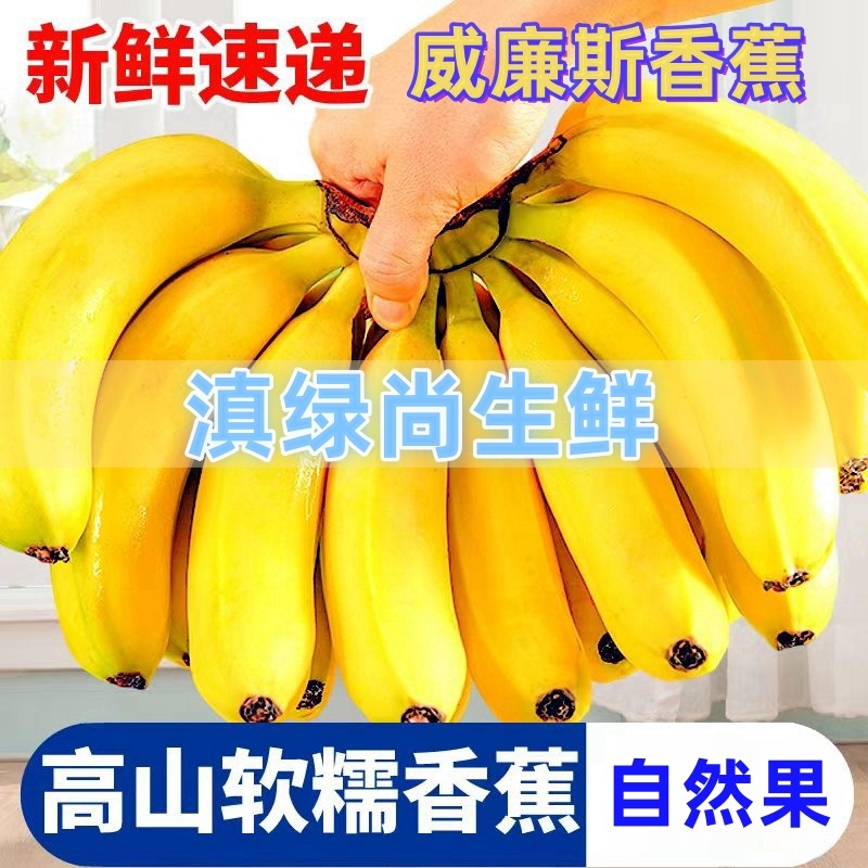 【精选】云南高山香蕉当季新鲜水果薄皮青蕉特产现摘现发一整箱甜