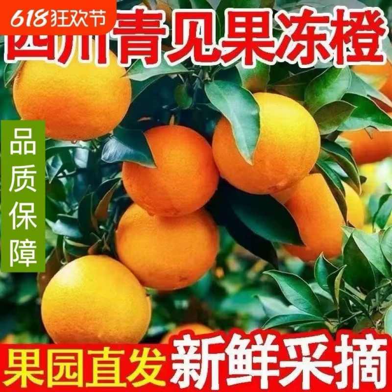 四川青见果冻橙新鲜橙子时令橙子应季水果孕妇水果