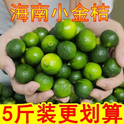正宗海南小金桔新鲜小青桔5斤奶茶店专用当季小青柠檬一整箱包邮