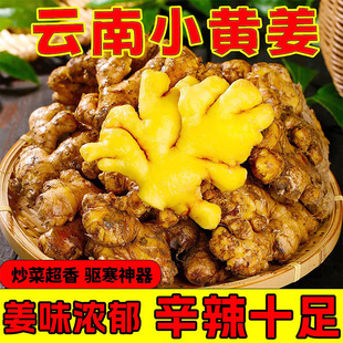 云南小黄姜5斤新鲜生姜老姜高山沙姜土姜非现挖月子孕妇种子蔬菜