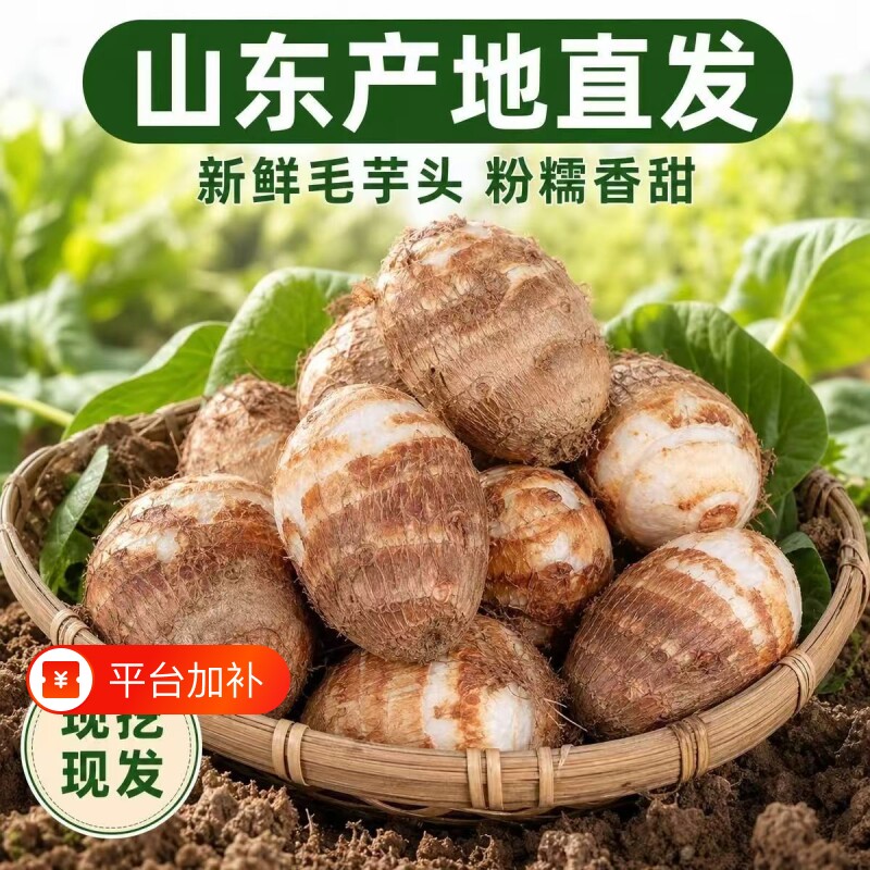 山东正宗沂蒙山现摘牛奶小芋头毛芋艿小香芋头当季蔬菜软糯香甜