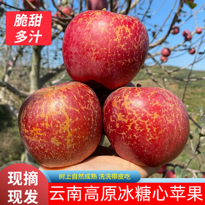 云南高原正宗丑苹果冰糖心大理苹果新鲜水果5斤整箱脆甜多汁包邮