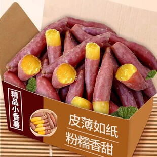 天目山小香薯正宗农家自种小番薯地瓜蜜薯新鲜板栗红薯5斤食用