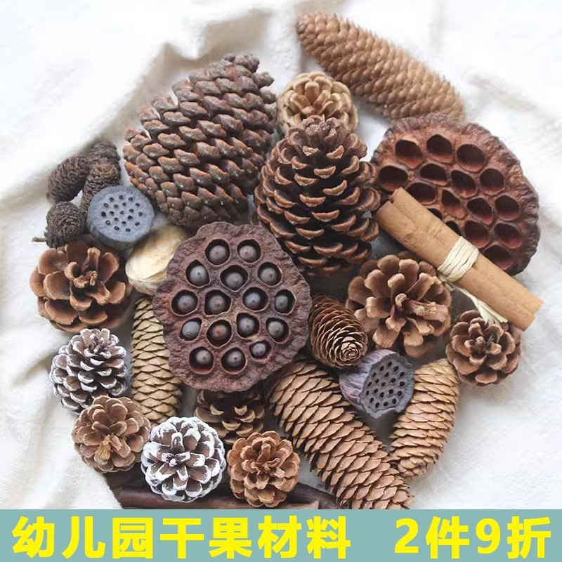 松果木片树叶干花干果组合肉桂diy手工橡果艺术品莲蓬棉花红果
