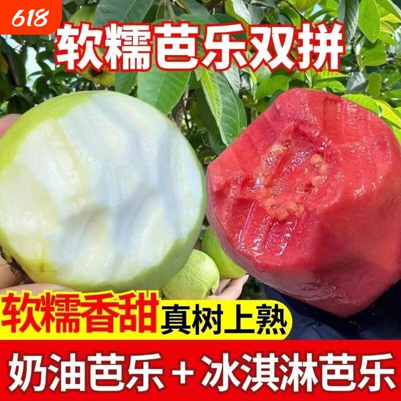 广东红心芭乐软糯双拼红白新鲜番石榴大果脆甜鸡屎果当季水果正宗
