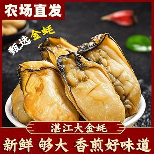 生蚝干大号生晒牡蛎肉干海蛎子蚝豉干特大号不抽油海鲜特产干货