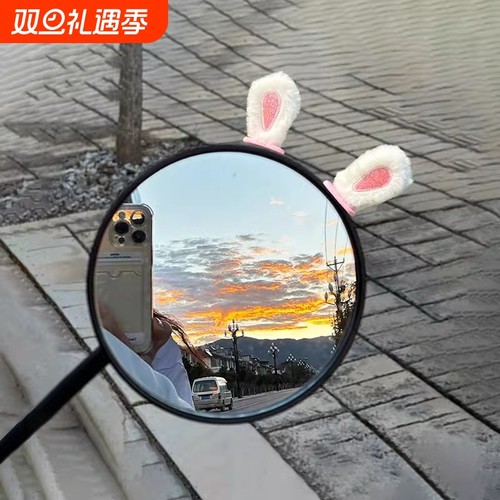 电动车后视镜装饰|超8000次加购