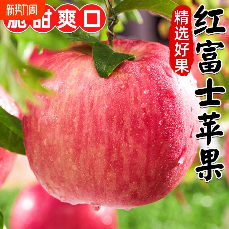 山西红富士苹果水果新鲜当季整箱脆甜冰糖心10包邮斤多汁不打蜡