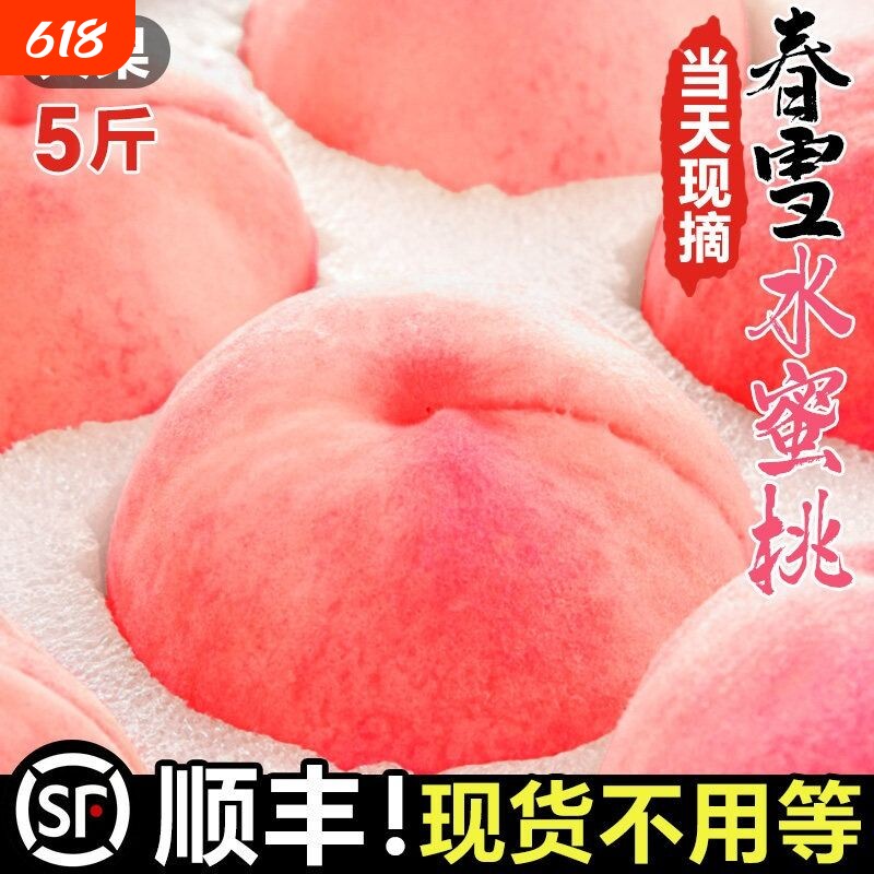 正宗春雪水蜜桃子脆甜特产新鲜水果应当季整箱顺丰包邮现摘礼盒装