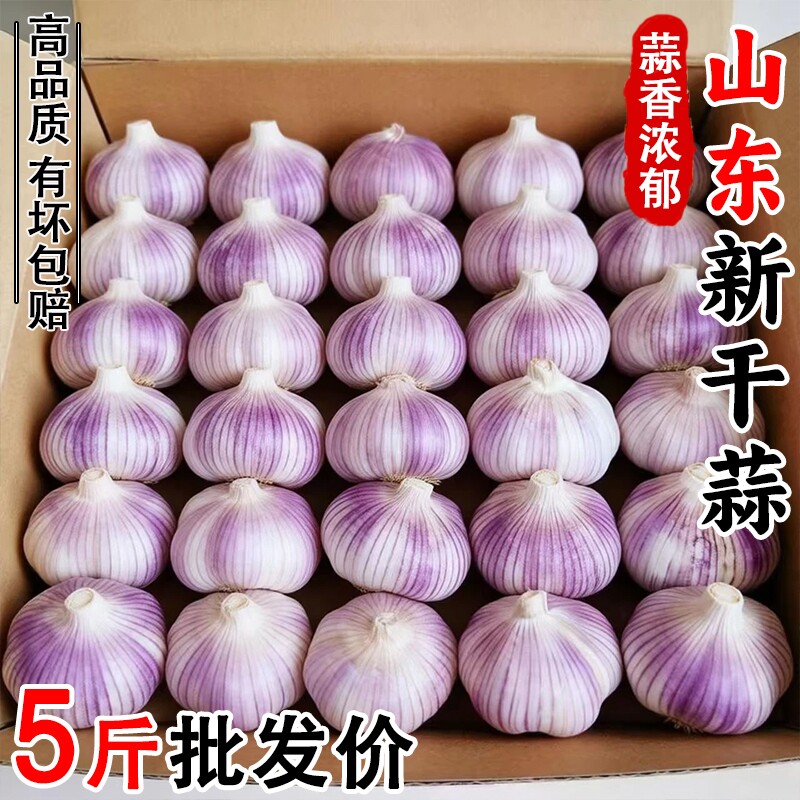【产地价】山东紫皮大蒜头干蒜农家自种火锅蔬菜红皮大蒜新鲜种植