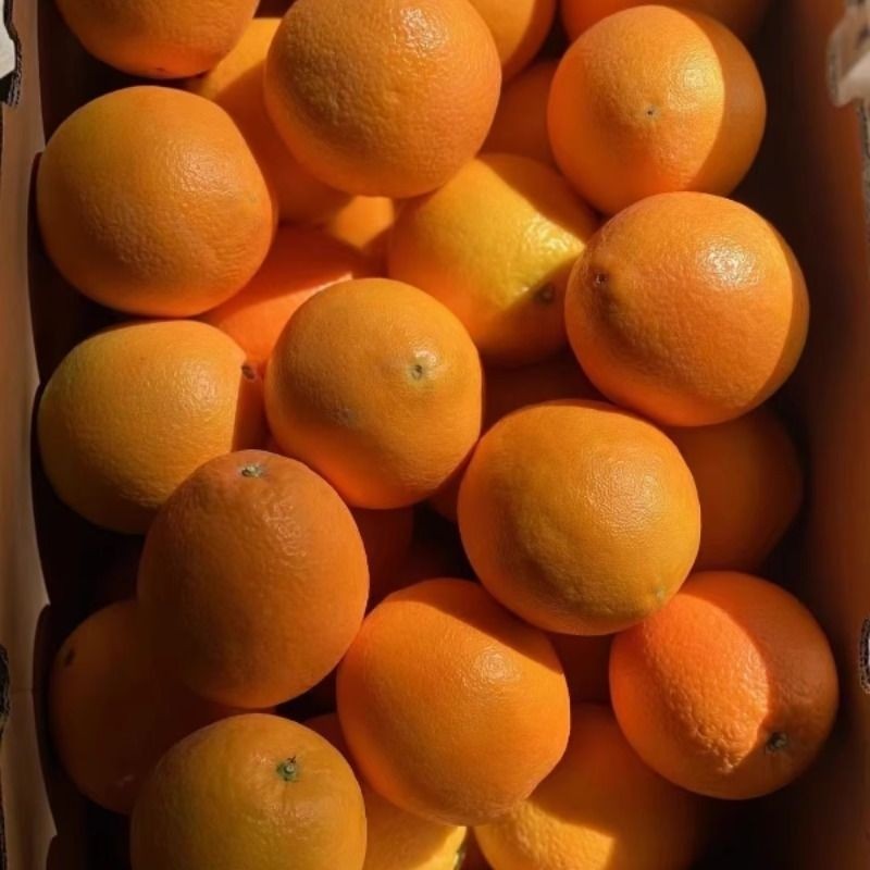 脐橙橙子甜新鲜当季水果甜橙榨汁直发儿童孕妇应季水果橙年货现摘,水产肉类/新鲜蔬果/熟食,橙,淘宝优惠券,粉丝福利购,淘宝优惠卷