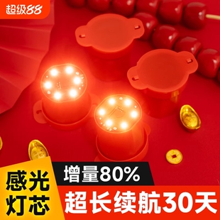 2026新款灯笼专用七彩旋转红色太阳能遥控led灯植绒电池感光感应