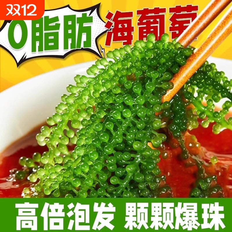 儿童海葡萄即食新鲜泡发盐渍海洋蔬菜植物鱼子酱海藻带宝宝小零食