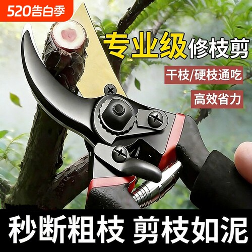 剪树枝剪刀专用花剪园艺园林修枝园丁剪嫁接强力修水果树修剪剪枝