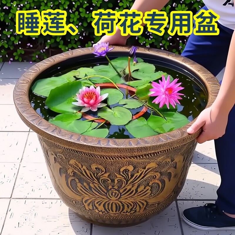 特大号塑料花盆加厚耐用树脂户外大口径无孔荷花睡莲养鱼盆水培图片