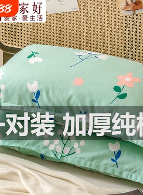 全棉枕套2024新款纯棉一对装乳胶枕头套子48cmx74cm单个40x60整套