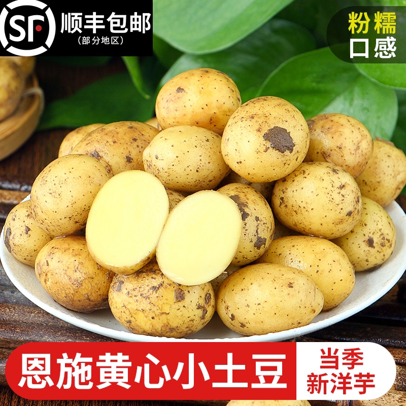 恩施小土豆迷你新鲜洋芋包邮黄心湖北当季马铃薯蔬菜新土豆富硒
