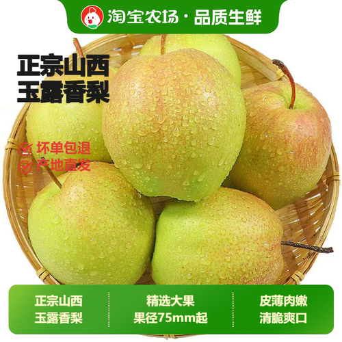 正宗山西玉露香梨新鲜水果应季酥梨整箱包邮大果农场花梨直发梨子