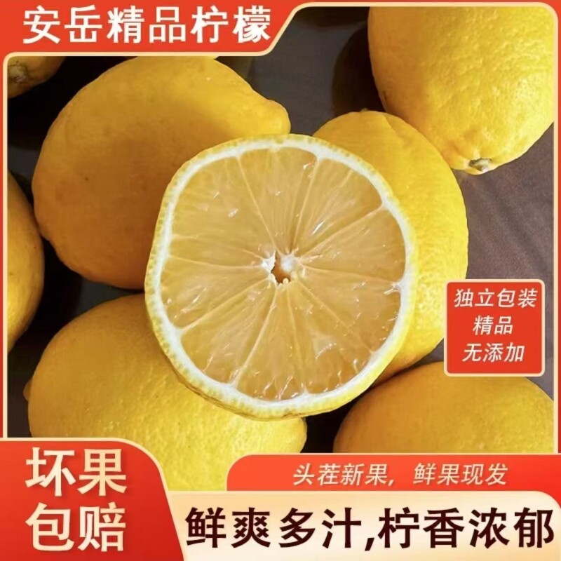 当季安岳新鲜黄柠檬皮薄二三级奶茶店专用商用批发现发量大优惠