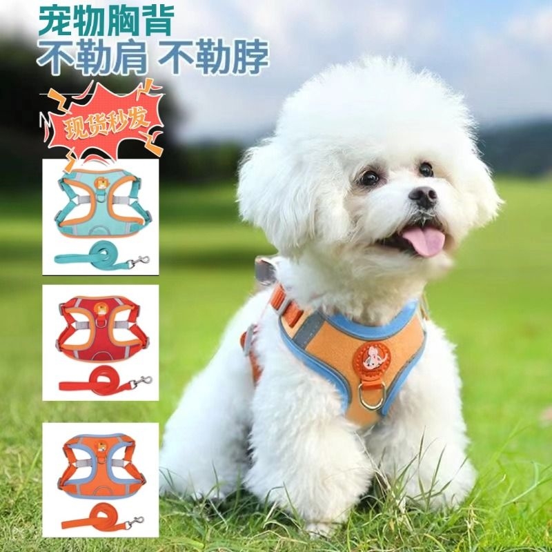 背心式泰迪比熊博美狗狗牵引绳