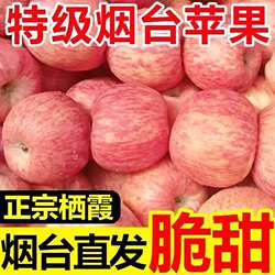 正宗山东栖霞苹果水果特产烟台富士苹果烟台红富士产地直发