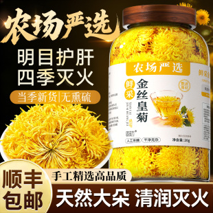 金丝皇菊鲜采大菊花茶熬夜去清一朵一杯火热排解品正毒官方店旗舰