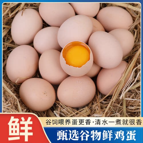农场笨鸡蛋6枚*50g新鲜草鸡蛋鲜鸡蛋月子蛋早餐皖南谷物好吃食用