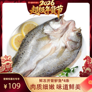【超级年货节】三去开背鲈鱼*4条装免洗免处理冷冻