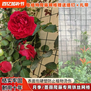 月季爬藤专用铁丝网格植物攀爬户外神器可定型花架防烫防锈爬藤架
