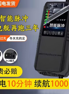 电动车电瓶充电器48V12AH60V20A72V适用于超威天能三轮铅酸石墨烯