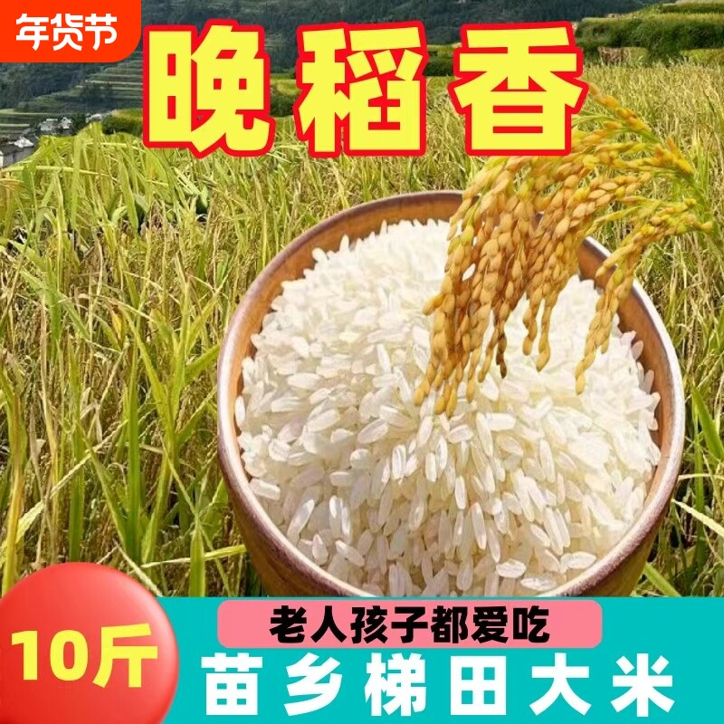 贵州长粒香大米梯田种植新鲜米现磨农家优质米一年一季家用晚稻
