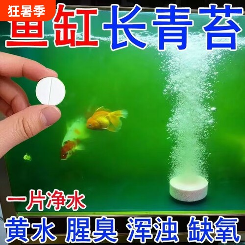鱼缸除藻片绿藻青苔绿水褐藻丝藻绿灭黑藻藻水除水垢苔剂净水专用
