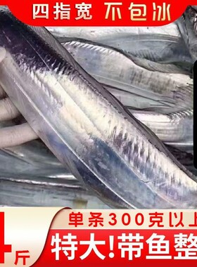 舟山带鱼特大东海南海雷达整条冷冻新鲜整箱海钓黄眼现捕带鱼刀鱼