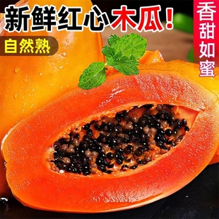正宗红心牛奶木瓜新鲜应当季水果现摘青皮番木瓜树上熟冰糖心整箱