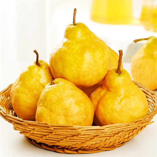 山东烟台中华丑梨太婆梨软梨子新鲜当季孕妇老人水果
