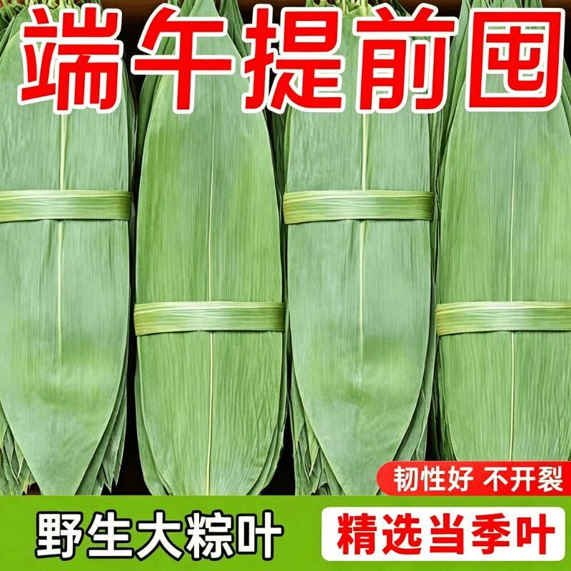 粽子叶干粽叶新鲜大号包粽子专用送绳子教程端午粽子野生叶子糯米